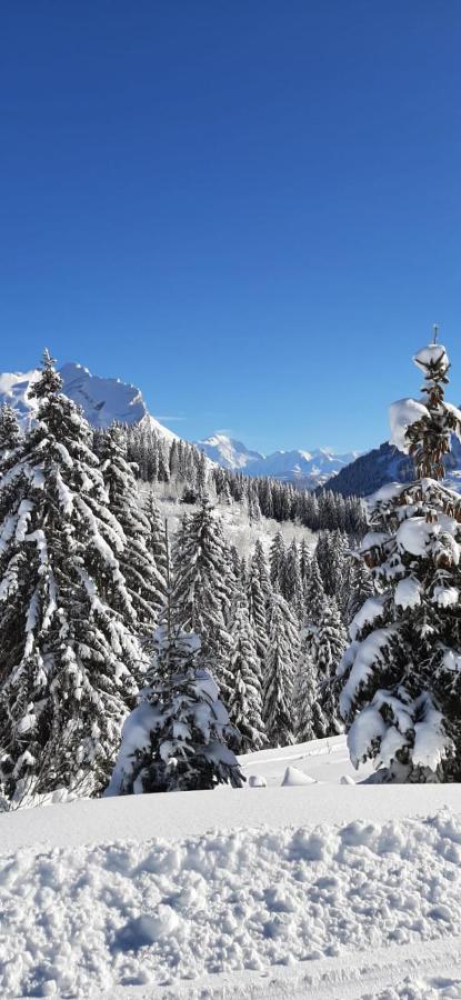 Studio Marmotte Font-Romeu 4 Personnes Avec Balcon Residence Val Soleil Entierement Renove En Juin 2021 Place De Parking & Wifi Gratuit , Draps & Serviettes De Toilettes Non Inclus, Sabanas Y Toallas No Incluidos Экстерьер фото