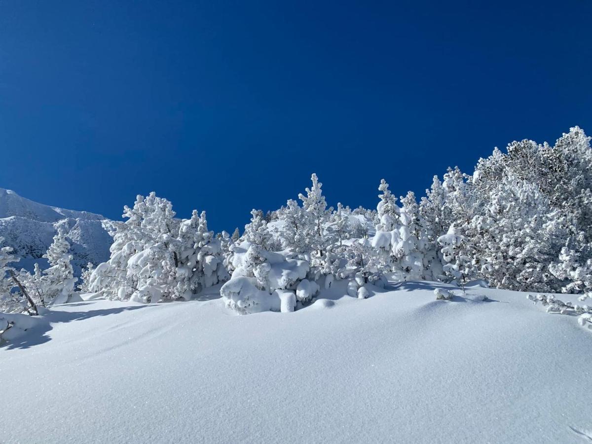 Studio Marmotte Font-Romeu 4 Personnes Avec Balcon Residence Val Soleil Entierement Renove En Juin 2021 Place De Parking & Wifi Gratuit , Draps & Serviettes De Toilettes Non Inclus, Sabanas Y Toallas No Incluidos Экстерьер фото